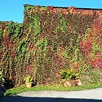 Casa De Diaz Szálloda 2*