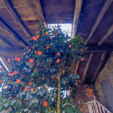 Casa De Diaz