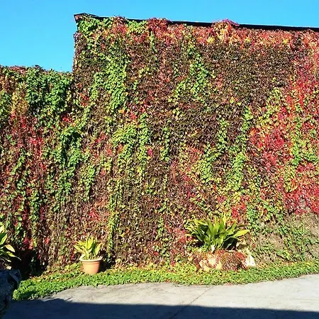 Casa De Diaz Hotel 2*