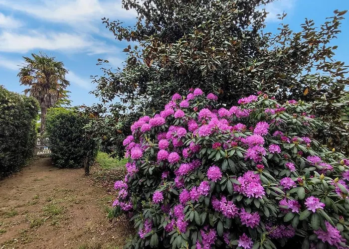 ホテル Casa De Diaz