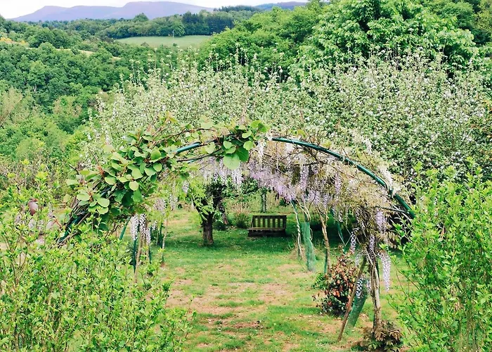 Casa De Diaz ホテル