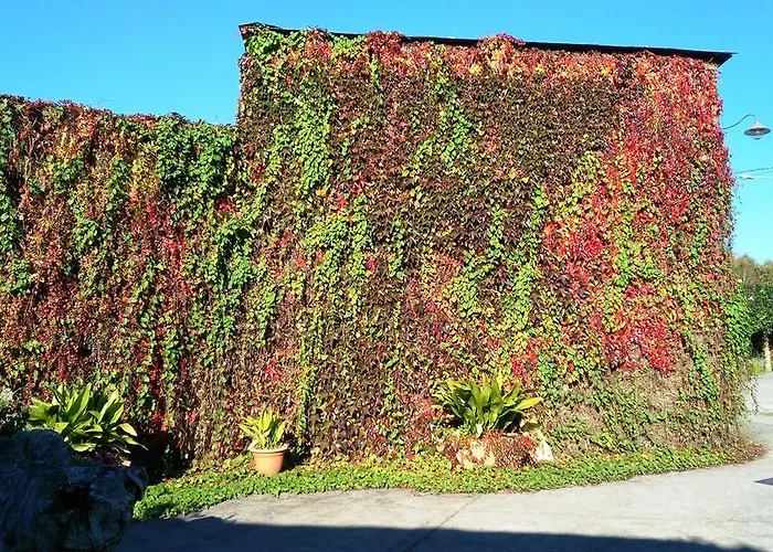 Casa De Diaz ホテル 2*