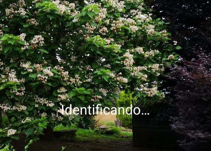 ホテル Casa De Diaz 2*